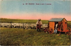 En Beauce Berger et parc a moutons -
													28 Eure et Loir
												