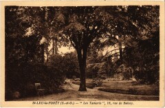 Saint-Leu Les Tamaris, 16, rue de Boissy France