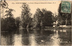 Montmorency La Foret, L'Etang du Chateau France -
																					95160 Montmorency
																			