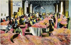 Tirage des Roses -
													06 Alpes Maritimes
												