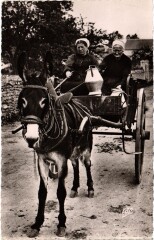 Types Berrochons Laitieres -
													36 Indre
												