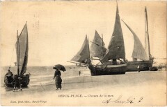 Berck-Plage Choses de la mer à Berck