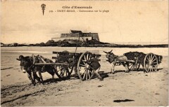Saint-Malo Goemoneux sur la Plage à Saint-Malo