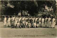 Les Gallas au Jardin Zoologique d'Acclimatation à Neuilly-sur-Seine