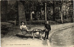 Lille Promenade au Bois à Lille