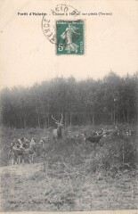Foret D'Halatte - Chasse A Hallali Sur Pieds - Terres