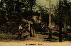 Montargis Hutte à Montargis