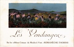 Romaneche-Thorins Les Vendangers