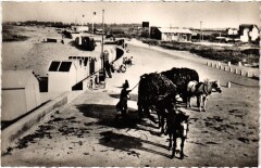 Courseulles-sur-Mer Ramassage du Varech sur la Digue à Courseulles-sur-Mer