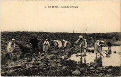 Ile de Ré La peche a l'Ecluse -
													17 Charente Maritime
												