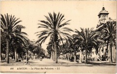 Ajaccio La Place des Palmiers -
																					20090 Ajaccio
																			