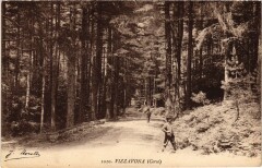 Vizzavona - Road Scene