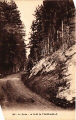 La Foret de Valdoniello -
													2B Haute Corse
												