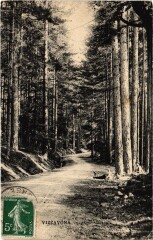 Vizzavona - Road Scene