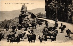 Piana Dans les Calanches -
													2B Haute Corse
												