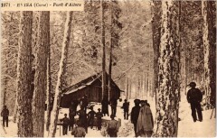 Evisa La Foret d'Aitone -
													2B Haute Corse
												