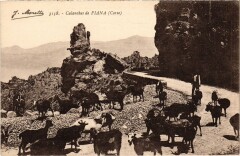 Piana Calanches de Piana -
													2B Haute Corse
												