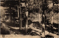 Foret de Valdoniello