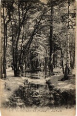 St.Leu la Foret En Foret France