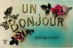 Un Bonjour de St.Leu la Foret France