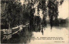 Enghien les Bains Le grand Saule pleureur France à Enghien-les-Bains