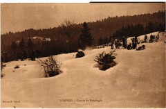 Hauteville Course de Bobsleighs