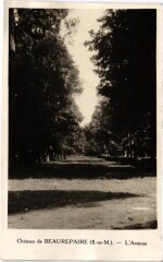 Chateau de Beaurepaire - L'Avenue