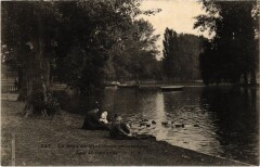 Vincennes Lac et Canards à Vincennes