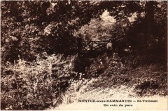 Montge-en-Goele Montge-sous-Dammartin Saint-Thibault - Coin du Parc