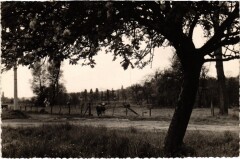 Montevrain Paysage au Bord de Marne