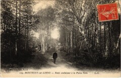 Montigny-sur-Loing Route Conduisant a la Plaine Verte à Montigny-sur-Loing