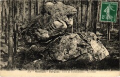 Montigny-sur-Loing Sorques - Foret de Fontainebleau - Le Bison -
																					77300 Fontainebleau
																			