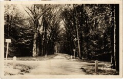Nangis Ses Environs - Chateau de Bois-Boudran - Allee Madame à Nangis