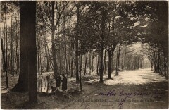 Nogent sur Marne Petit Lac du Bois de Vincennes -
																					94130 Nogent-sur-Marne
																			