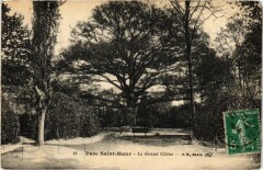 Le Parc Saint-Maur Grand Chene