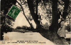 Creteil Arbre penche Escalade