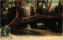 Creteil Arbre penche