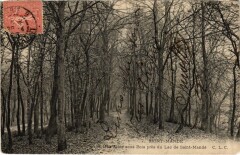 St Mande une Allee sous Bois -
													94 Val de Marne
												