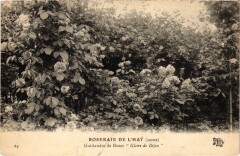 L'Hay les Roses Roseraie Guirlandes de Roses