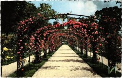 L'Hay les Roses Une allee de la roseraie