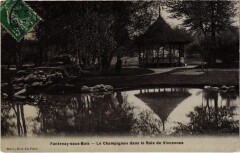 Fontenay Le Champignon