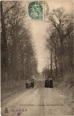 Limeil Brevanne Avenue des Soupirs