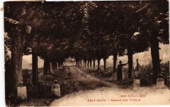 Orly Avenue des Tilleuls