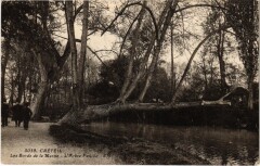 Creteil Arbre Penche