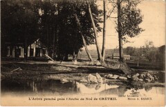 Creteil Arbre penche