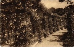 L'Hay les Roses Roseraie une pergola