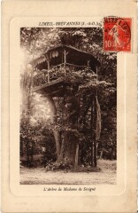 Limeil Brevanne Arbre de MAdame de Sevigne