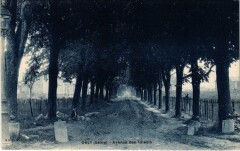 Orly Avenue des Tilleuls