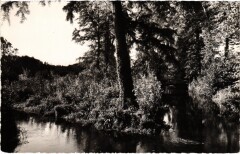 Boissy Les bords de la Juine