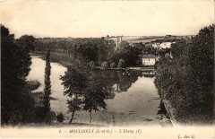 Moulineux Etang -
													91 Essonne
												